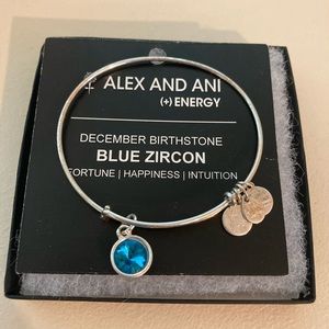 Alex and Ani Blue Zicorn Circle Charm Bracelet